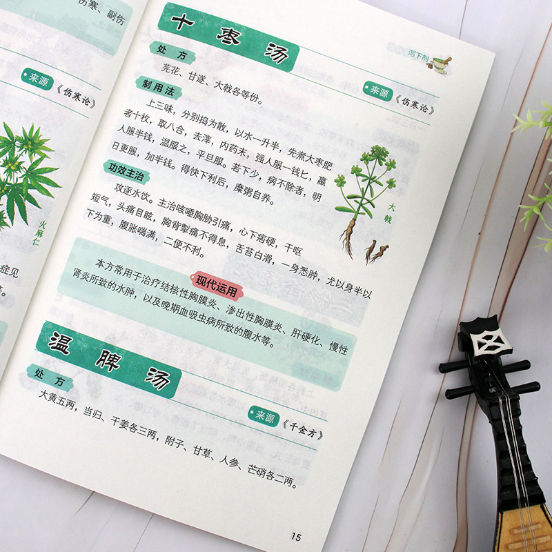Classic TCM Special Remedies & - огляд і ціна Herbal Wellness Remedy